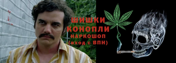 гашик Нягань