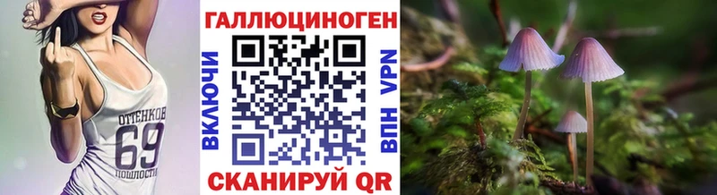Галлюциногенные грибы Cubensis  что такое наркотик  Ступино 