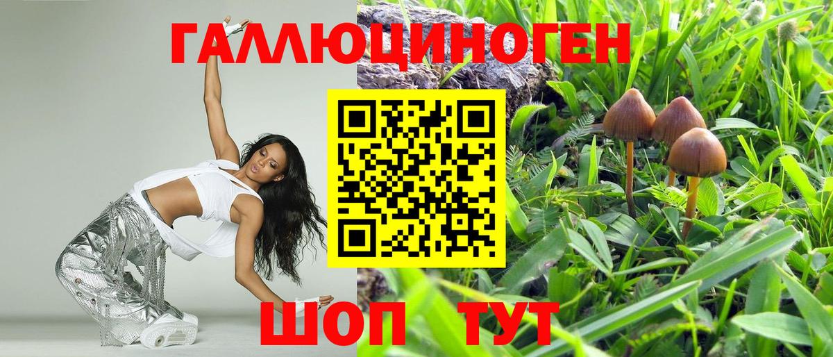Псилоцибиновые грибы MAGIC MUSHROOMS  Вход с VPN  Ступино 